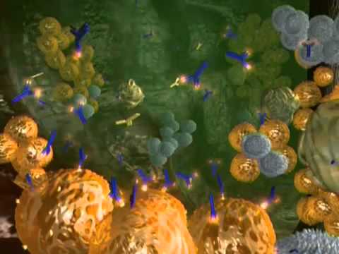 Видео о препарате Мабтера концентрат для инъекций 500 мг/50 мл №1